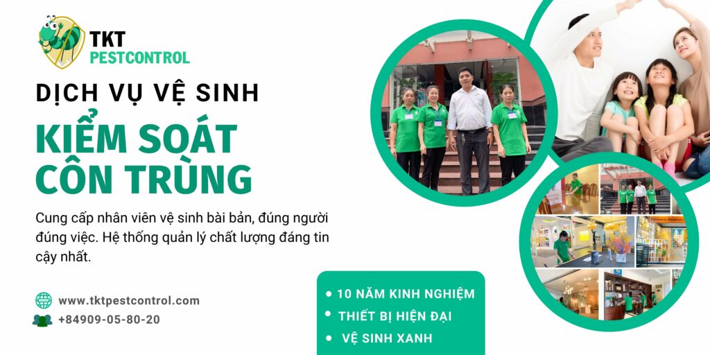 Dịch vụ vệ sinh kiểm soát côn trùng