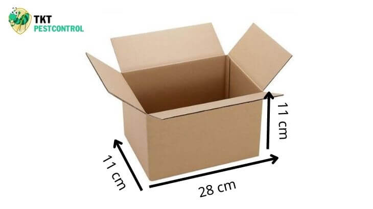 Image: Dimensions of the termite bait box