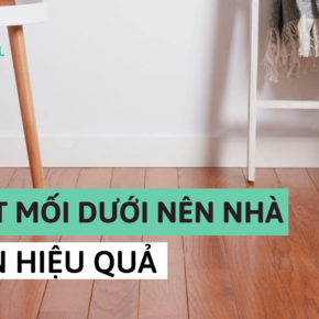 cách diệt mối dưới nền nhà