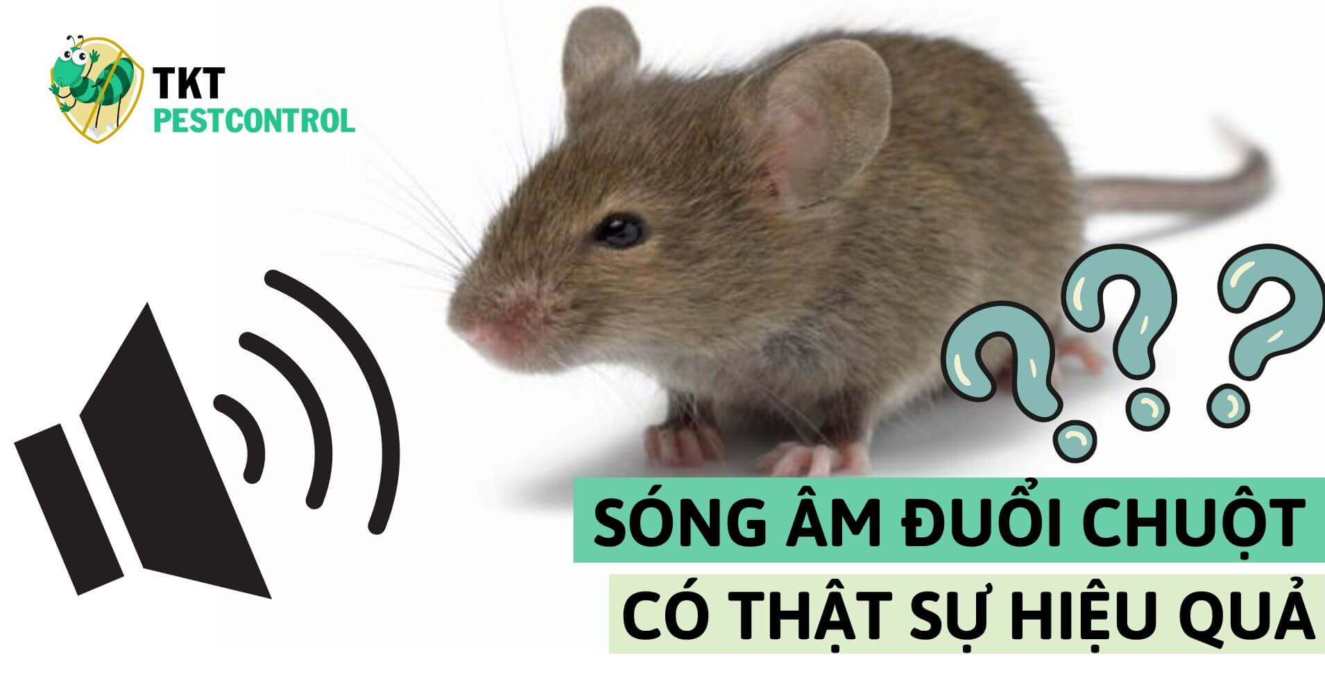 Sóng âm đuổi chuột có thật sự hiệu quả ?