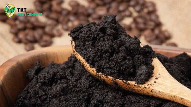 Image: How to repel mosquitoes in the house with coffee grounds