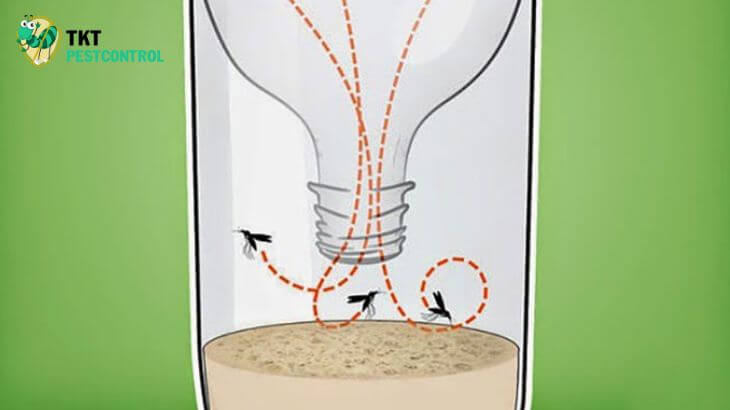 Image: Effective ways to repel mosquitoes in the house by setting traps.