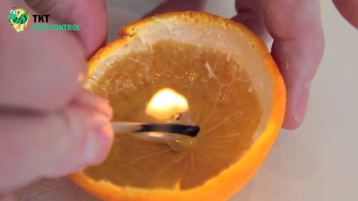 Image: How to repel mosquitoes in the house by burning tangerine peels