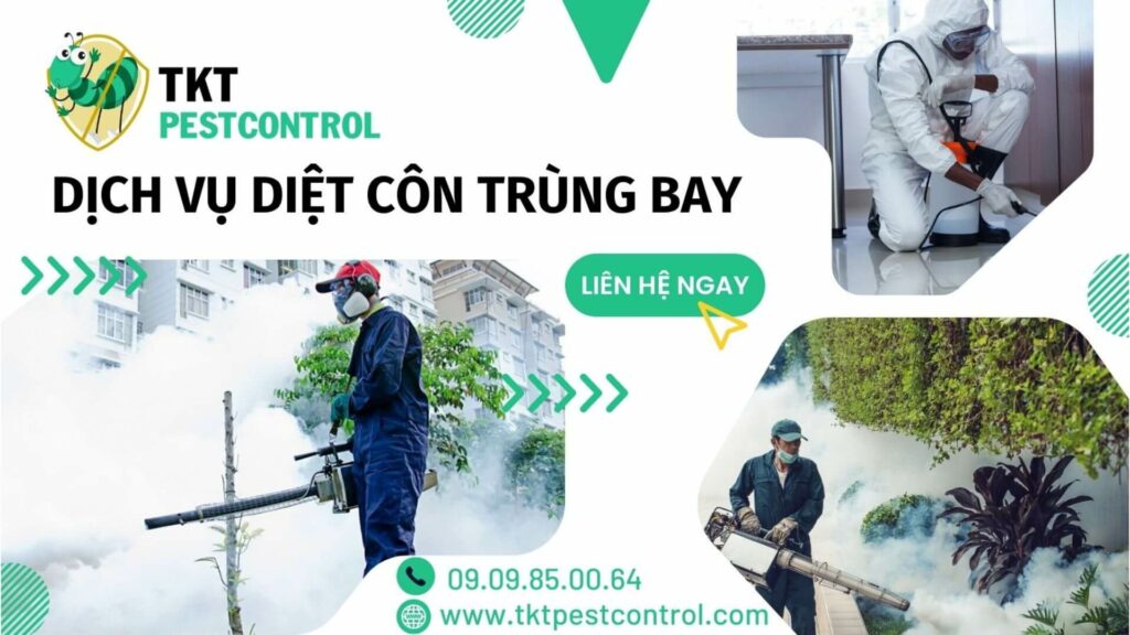 Dịch vụ kiểm soát côn trùng bay