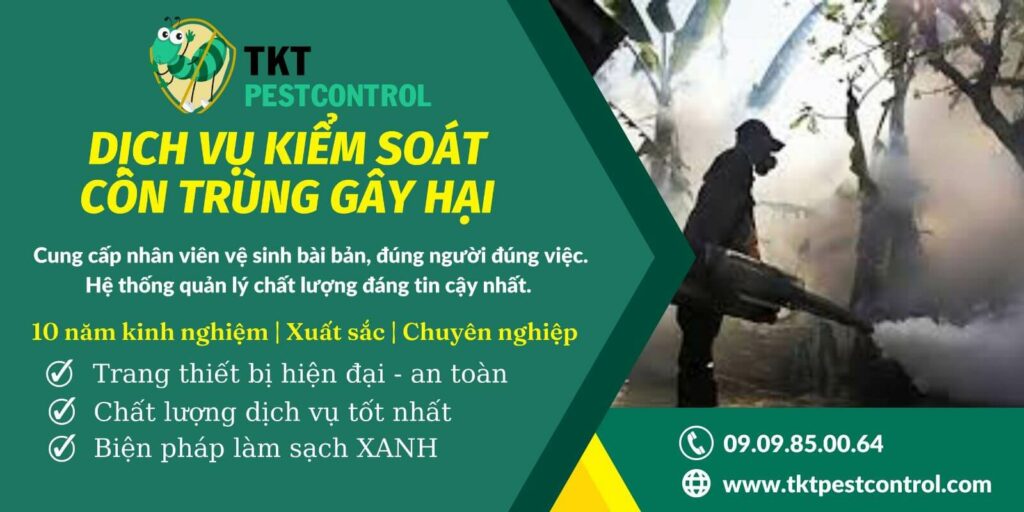 Dịch vụ kiểm soát chuột