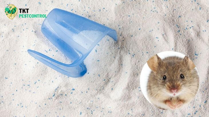 Mẹo đuổi chuột ra khỏi nhà bằng bột xà phòng