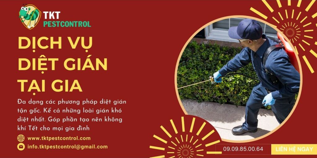 Dịch vụ diệt gián tại gia