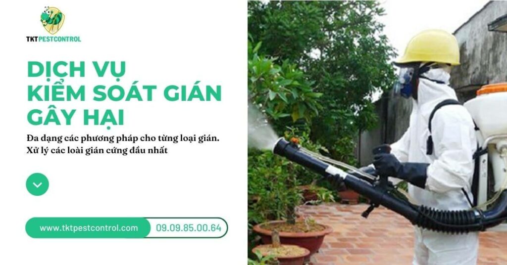 Dịch vụ kiểm soát gián gây hại