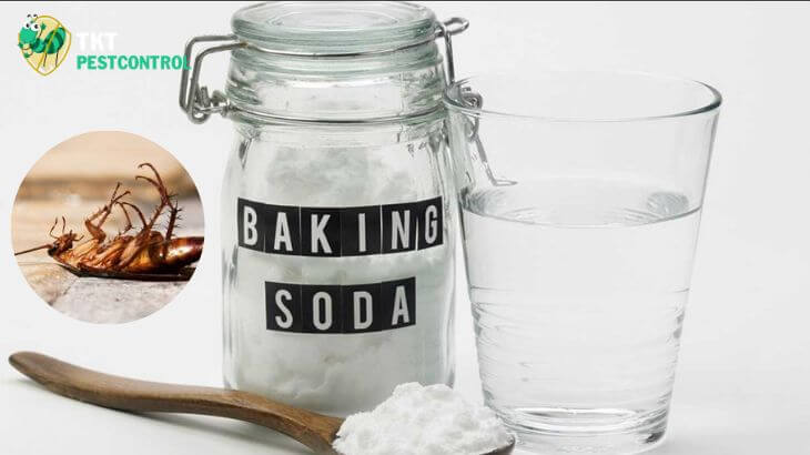  Mẹo diệt gián bằng baking soda