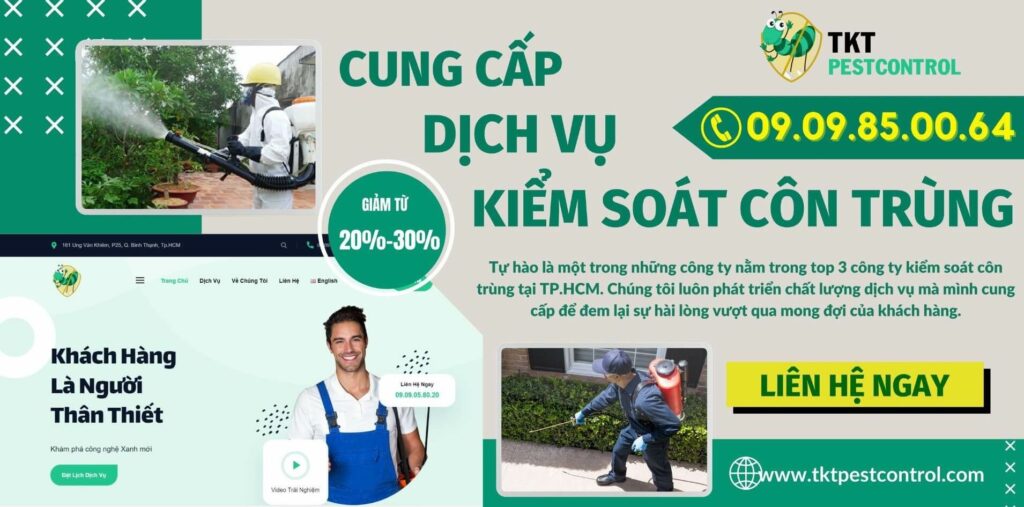 Dịch vụ diệt kiến