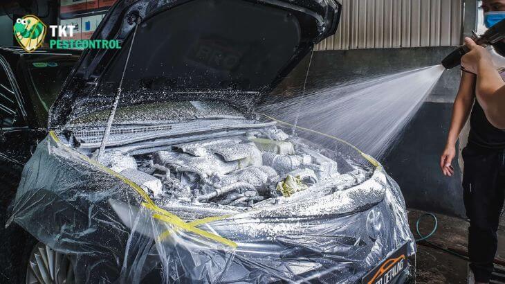 Cách đuổi chuột trong xe ô tô bằng cách vệ sinh và giữ vệ sinh xe ô tô.