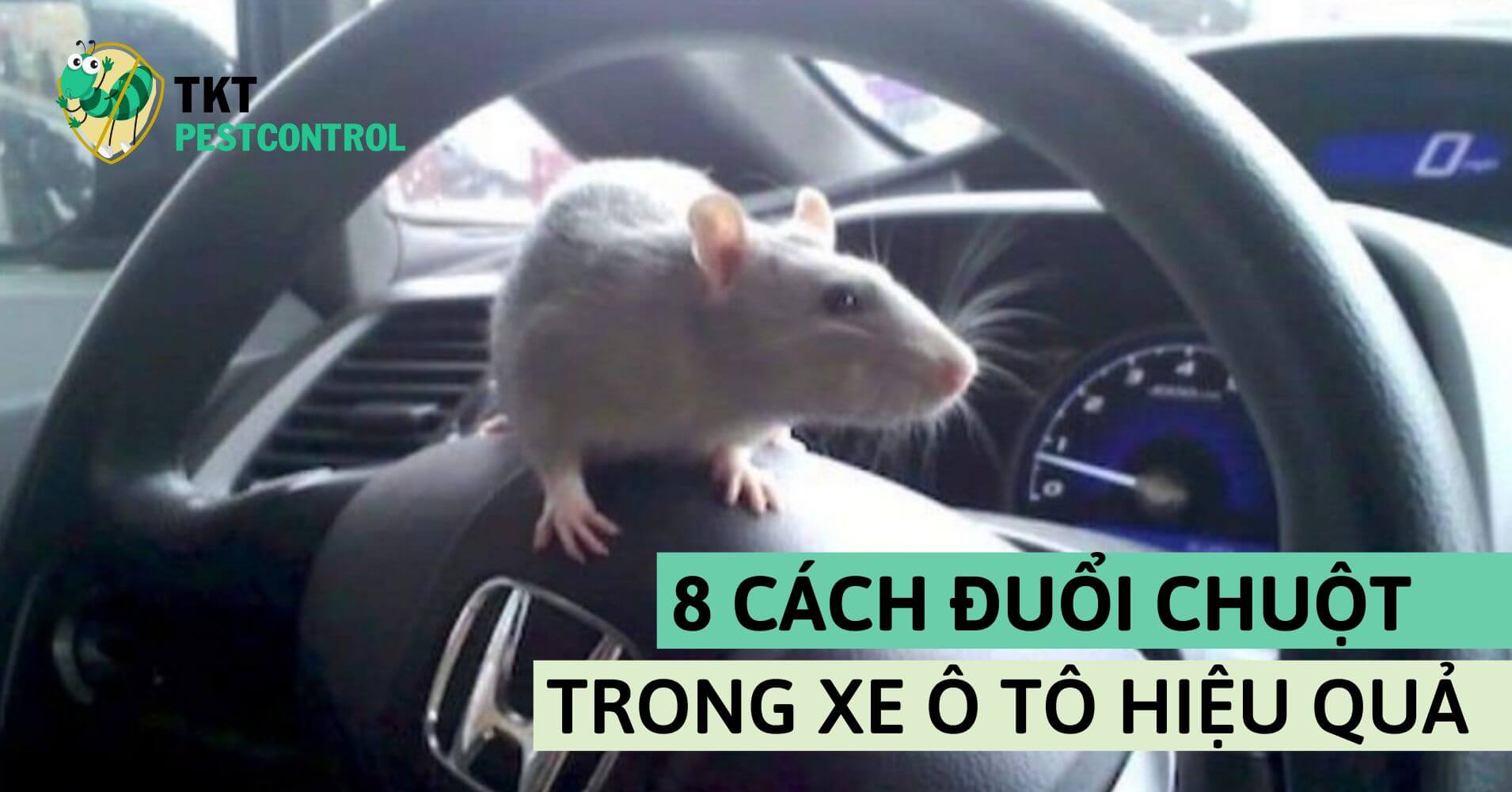 8 Cách đuổi chuột trong xe ô tô
