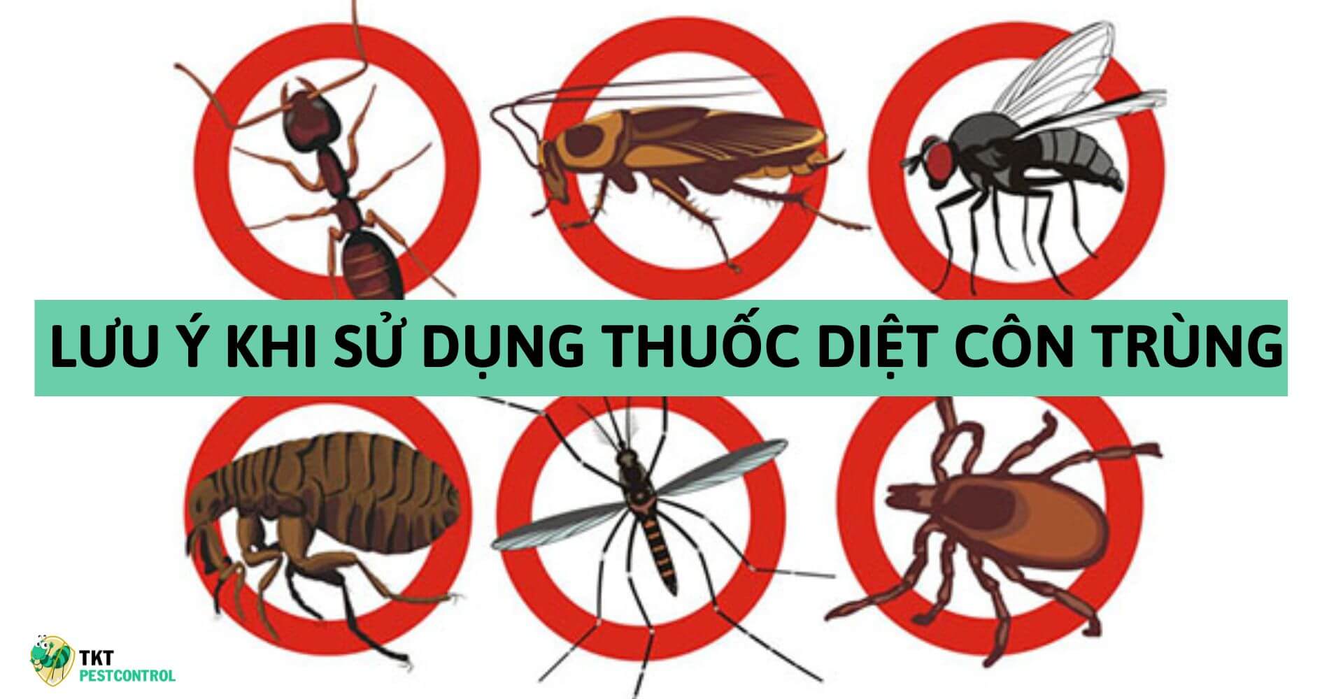 Những lưu ý khi sử dụng thuốc diệt côn trùng