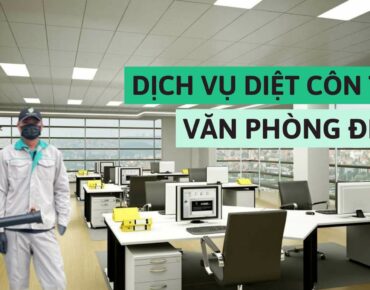 dich-vu-diet-con-trung-van-phong-dinh-ky