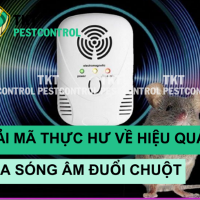 song am duoi chuot