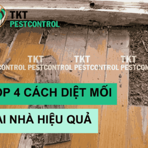 cach diet mot