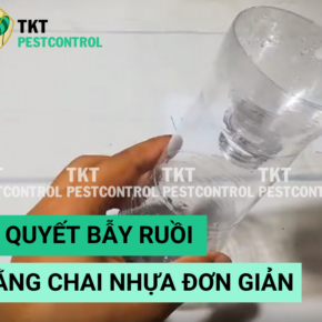 bat ruoi