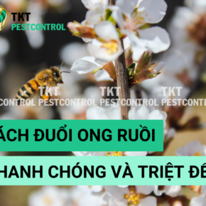 cach duoi ong ruoi