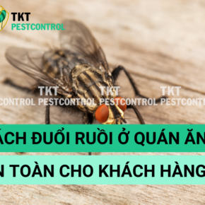 cach duoi ruoi cho quan an