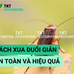 cach xua duoi gian