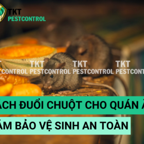 cach duoi chuot