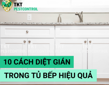 cach diet gian trong tu bep