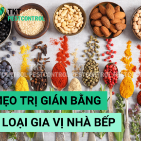trị gian