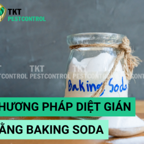 diệt gián bằng baking soda