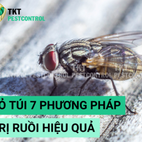 tri ruoi