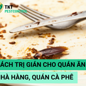 cach tri gian cho quan an