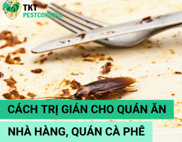 cach tri gian cho quan an