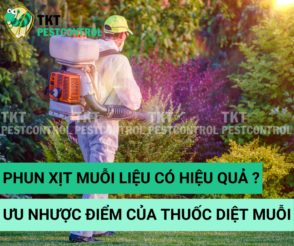 Phun xịt muỗi liệu có hiệu quả ? Ưu và nhược điểm khi phun thuốc diệt muỗi