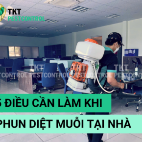 phun-diet-muoi