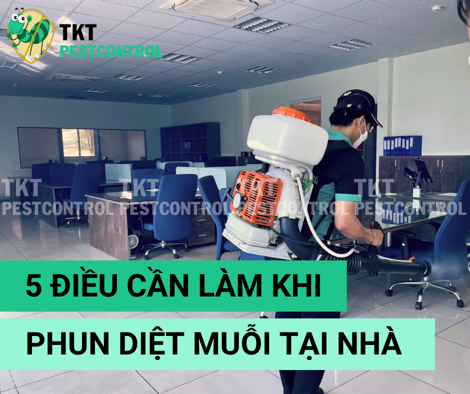 5 Điều cần làm khi phun diệt muỗi tại nhà 