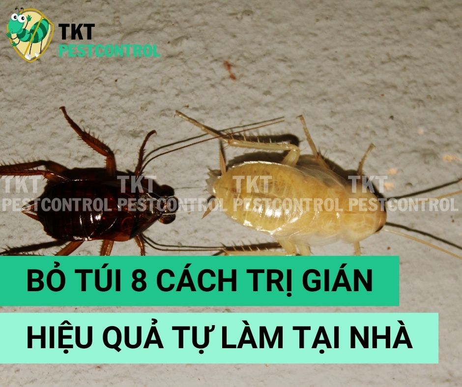 8 Cách Trị Gián Cực Dễ cần Bỏ Túi