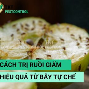 cach-tri-ruoi-giam