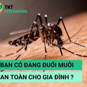 duoi-muoi-an-toan