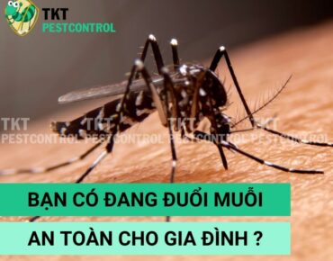 duoi-muoi-an-toan
