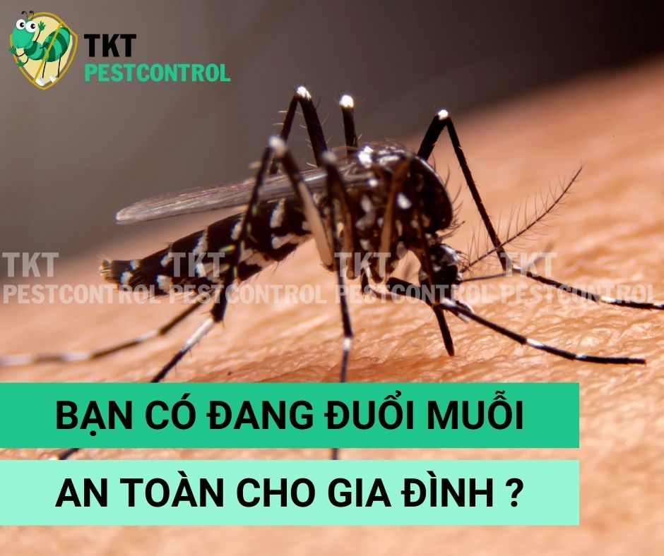 Bạn có đang đuổi muỗi an toàn cho gia đình?