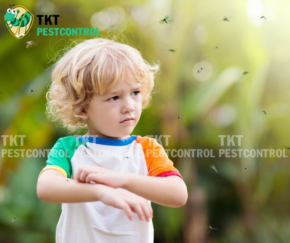 Mosquito and baby pictures