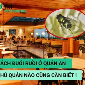 Cach-duoi-ruoi-o-quan-an