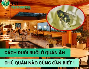 Cach-duoi-ruoi-o-quan-an