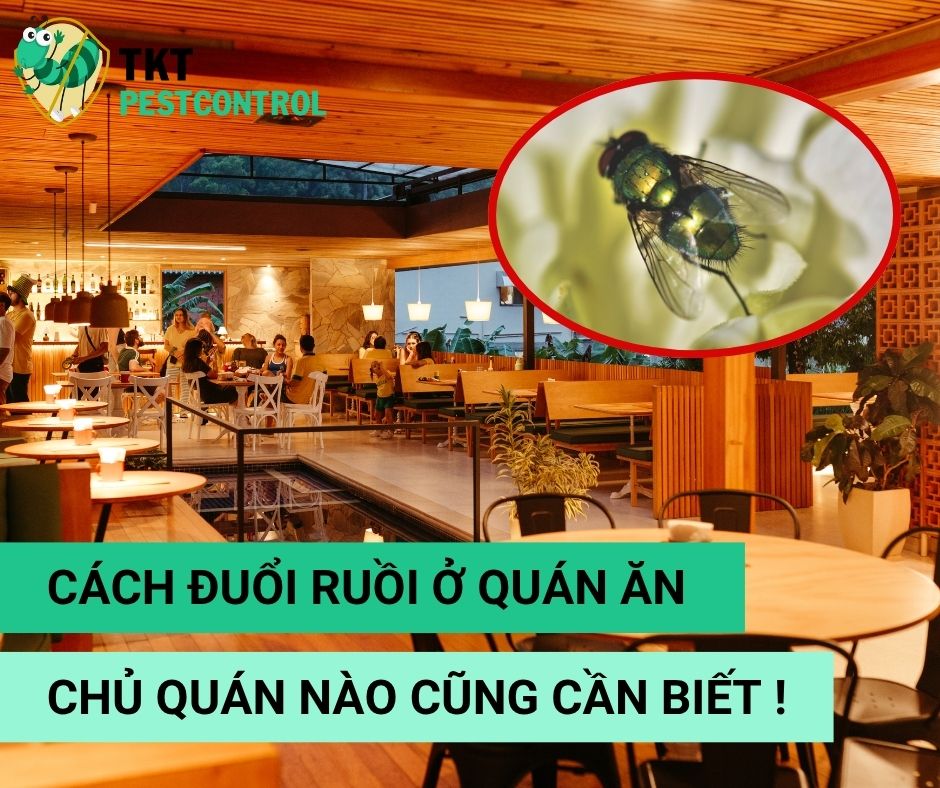 ✅ Cách đuổi ruồi ở quán ăn khiến ruồi “một đi không trở lại” – Chủ quán nào cũng cần biết!