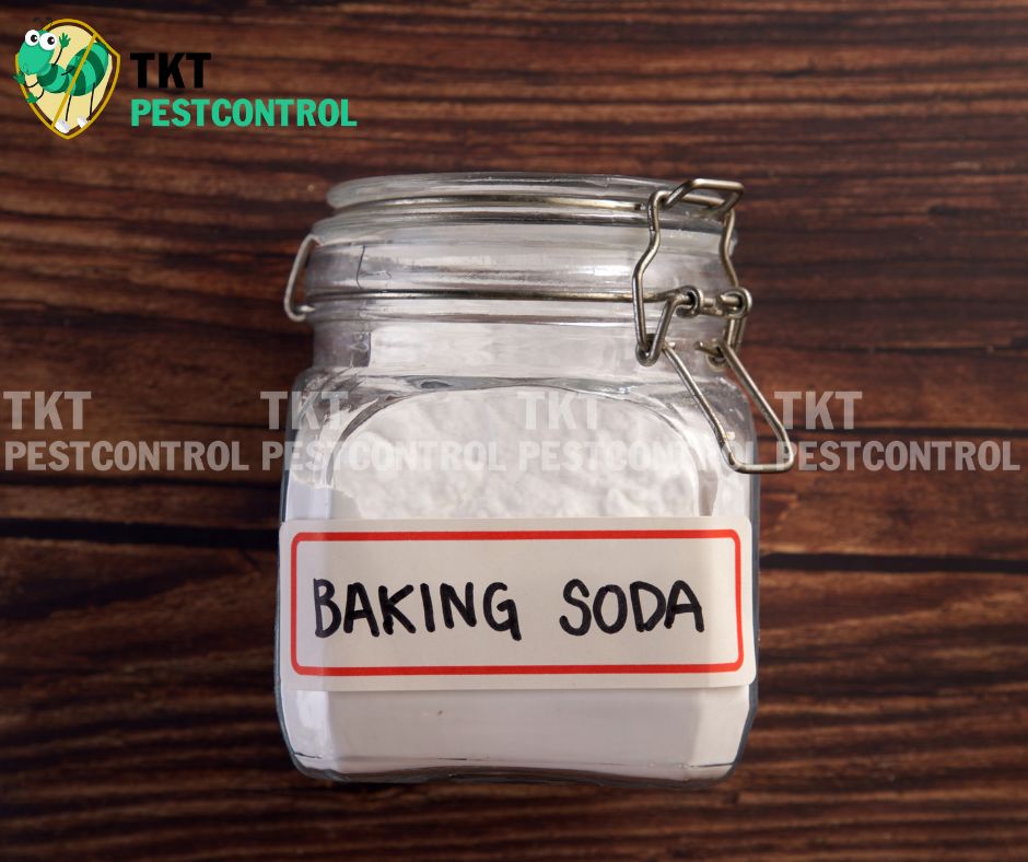 cach-bay-kien-bang-bakingsoda