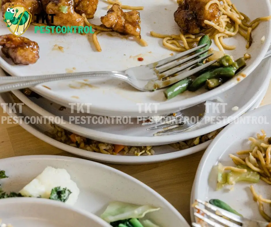 cach-diet-ruoi-giam-trong-nha-ve-sinh