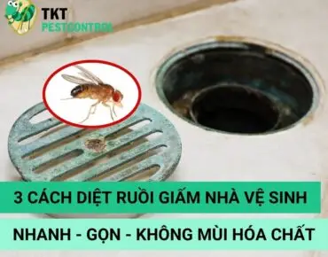 cach-diet-ruoi-giam-trong-nha-ve-sinh
