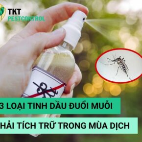 tinh-dau-duoi-muoi