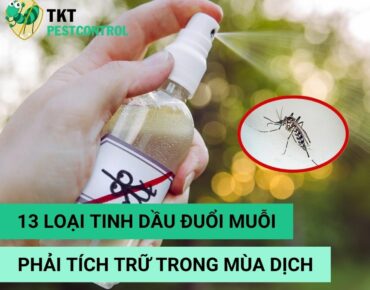 tinh-dau-duoi-muoi