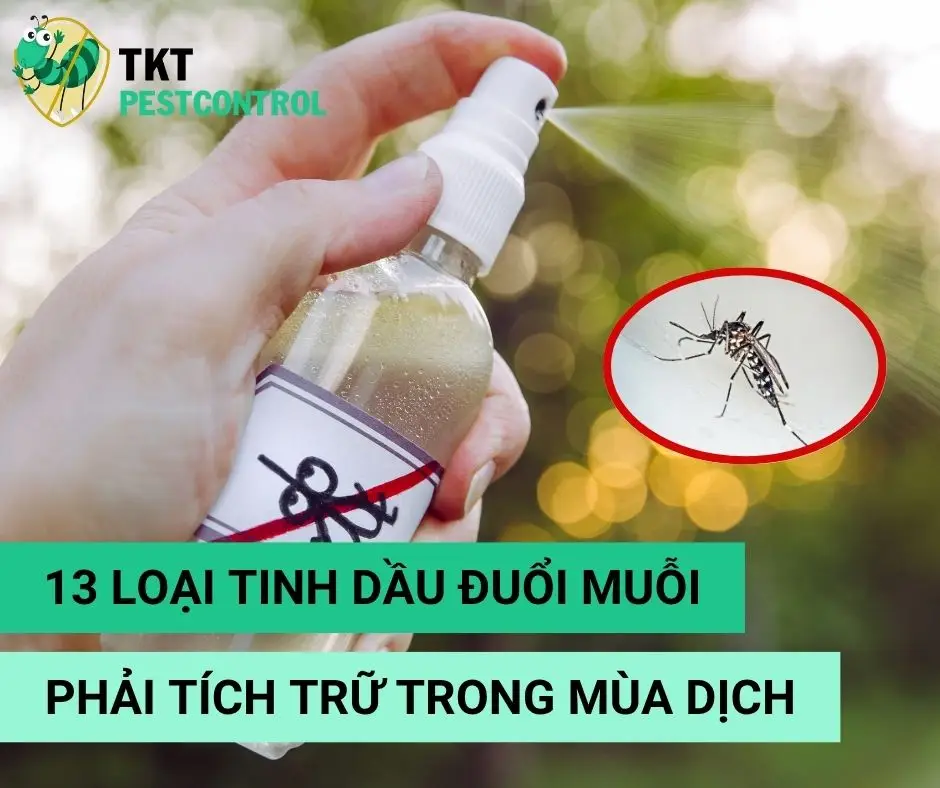 13 Loại Tinh Dầu Đuổi Muỗi Bạn Phải Tích Trữ Mùa Dịch
