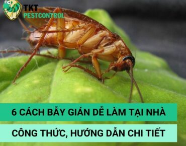 cach-bay-gian